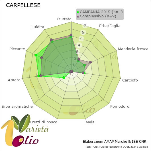 Profilo sensoriale medio della cultivar  CAMPANIA 2015